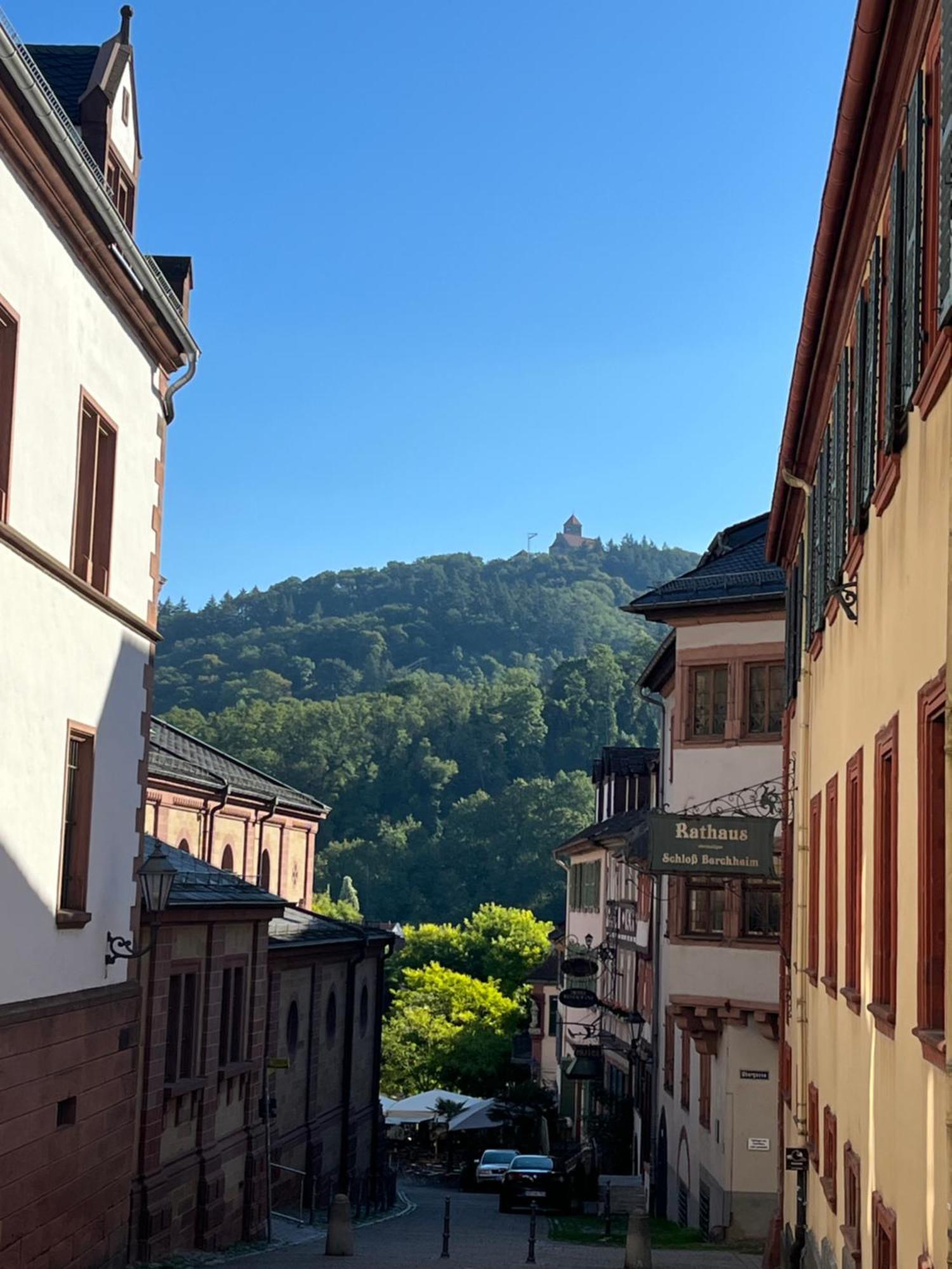 Ferienwohnung Burgenblilck Weinheim Ngoại thất bức ảnh
